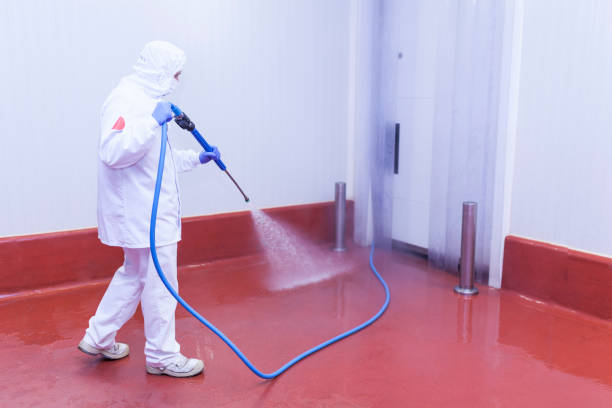 Best Fence Cleaning  in Mulino, OR